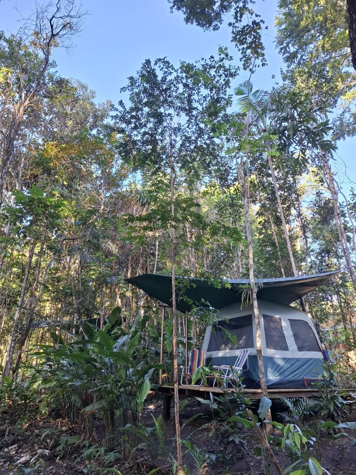 Ybymara Eco Glamping Campo de lujo Serra Grande (Urucuca, Bahia)